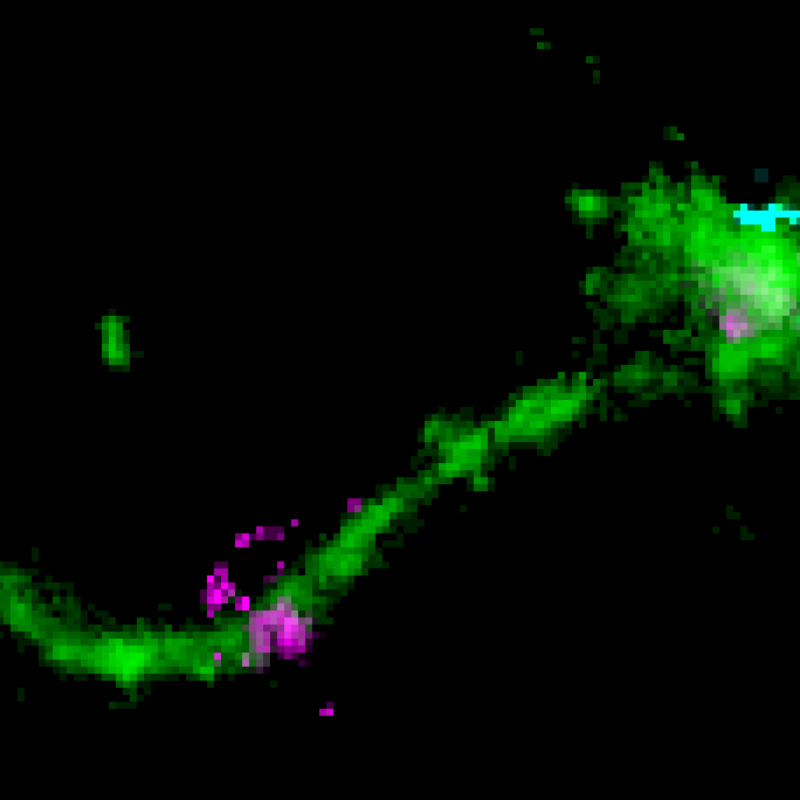 Microscopy image of an Early Endosome
